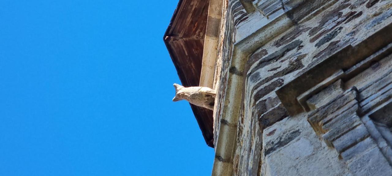 Maison Au Loup - Superbe Ancien Hotel Particulier Du Xvie Siecle Au Coeur De La Vieille Ville Du Puy Le Puy-en-Velay Bagian luar foto